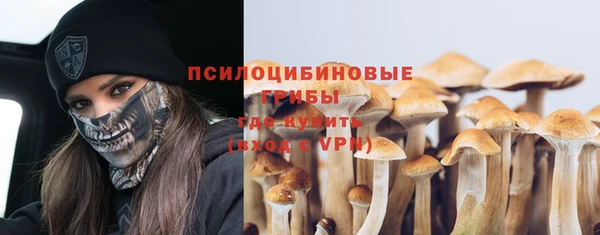 герыч Алексин