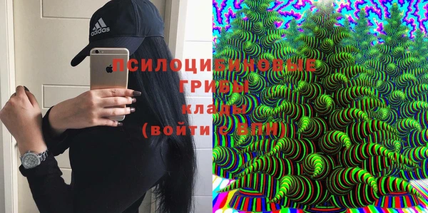 герыч Алексин