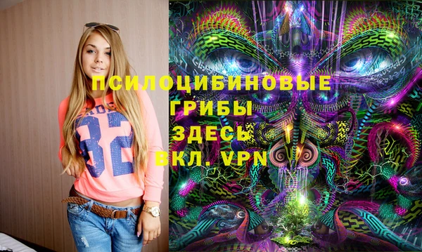 гидра Алзамай